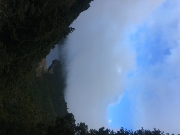 太平山台灣山毛櫸步道、魔幻森林、翠峰湖、望洋山2336457