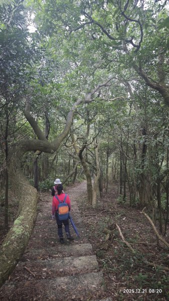 2025-1221 情人湖-石山-老鷹岩-大武崙砲台-外木山國旗嶺-濱海步道-海興步道-情人湖2966839