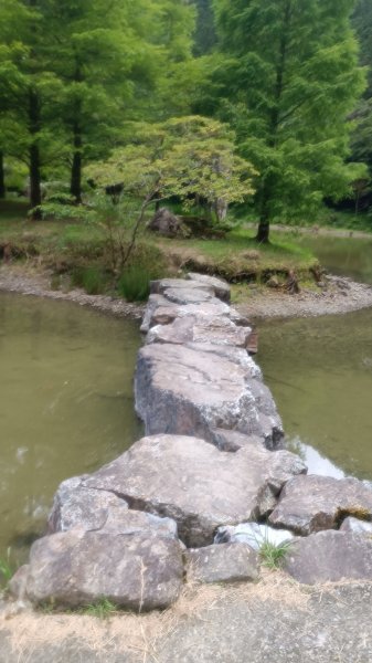 明池國家森林遊樂園1747653