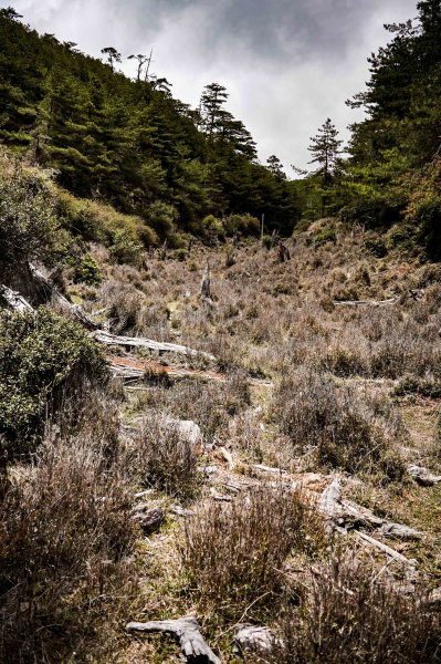 戒茂斯上嘉明湖三天兩夜2769415