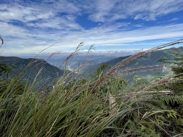 上島山(鳥嘴山)1896216