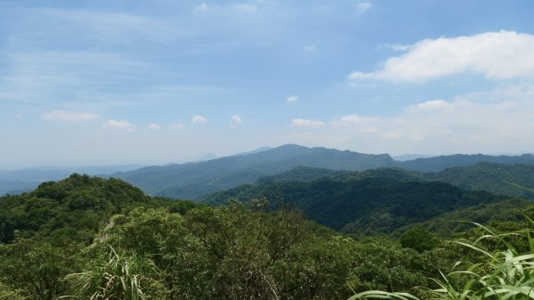 三角蜻蜓3076537