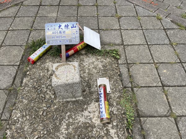 [微笑山線_第一段] 2025_0720 大棟山系_大棟山2843588