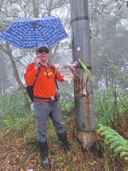 2025元旦山行 新店直潭山、二龍山O型2784969