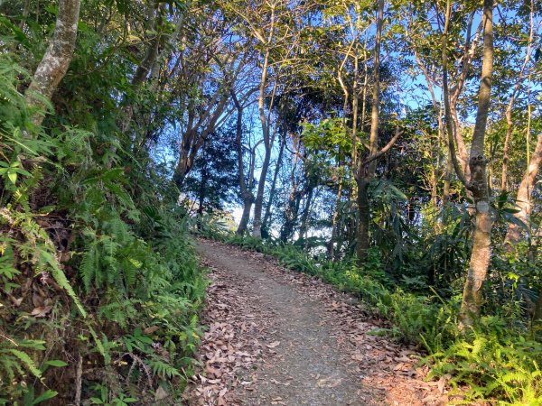 九份二山登山步道2688024