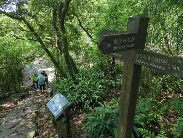 2025.04.27－金包里大路~小油坑縱走2770941
