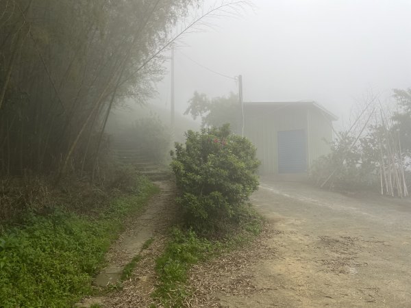 2023_0429_挑筍古道2138296