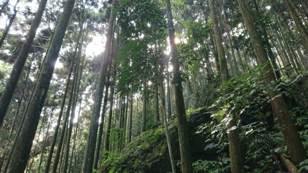 滿滿仙氣的向天湖山1107044