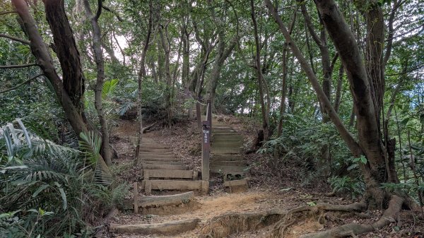 114.11.22鳶山彩碧-鳶山-鳶尾山之旅2943531