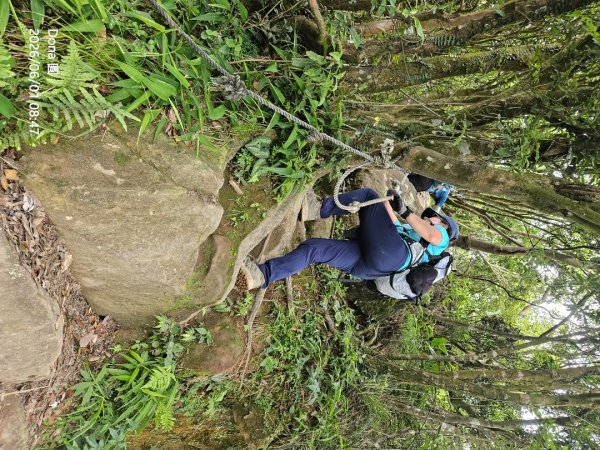 新店小百岳獅頭山+古蹟遺址O走3071936