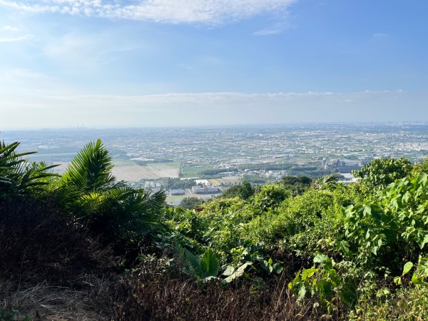 20251101_大崗山（高雄小百岳）2941405