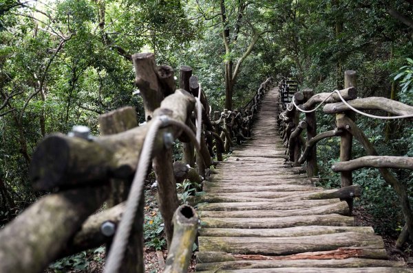大坑1號步道2865268