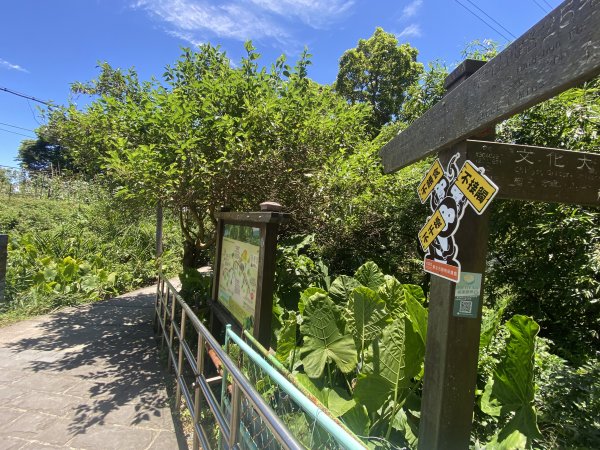 《陽明山秘境健行｜翠峰瀑布 × 天母古道 夏日涼爽路線》2852232