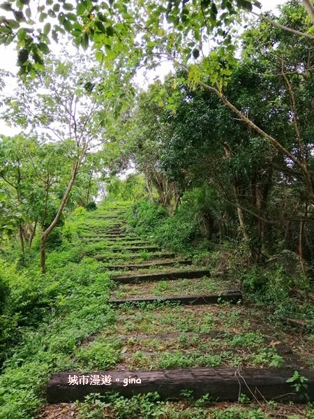 大武國家森林步道723293