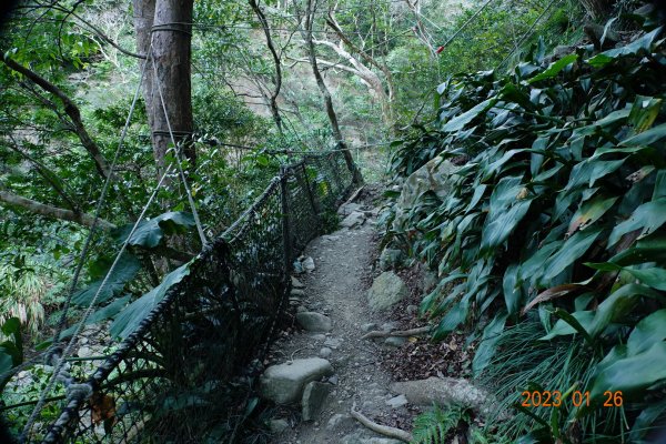 屏東 獅子鄉 里龍山(里隆山、里瀧山、鯉龍山)、下里龍山2018489