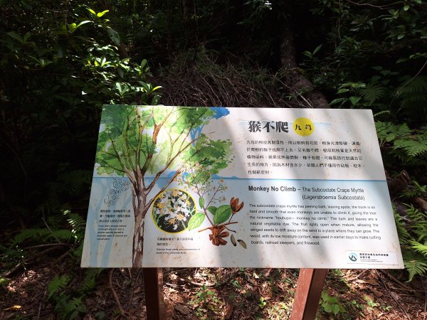 南澳朝陽步道小O202508312876498