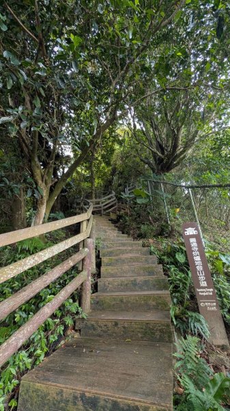 南勢角山步道3122084
