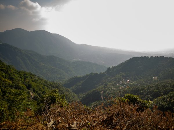 獨立山步道2961183