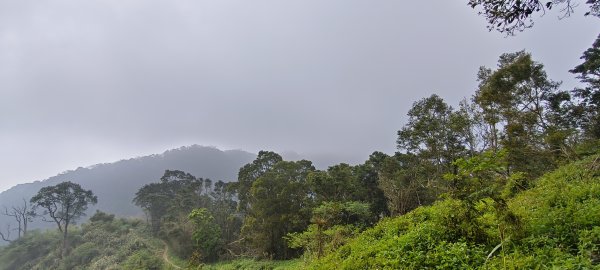 2024/12/14_關刀山步道O型2669318