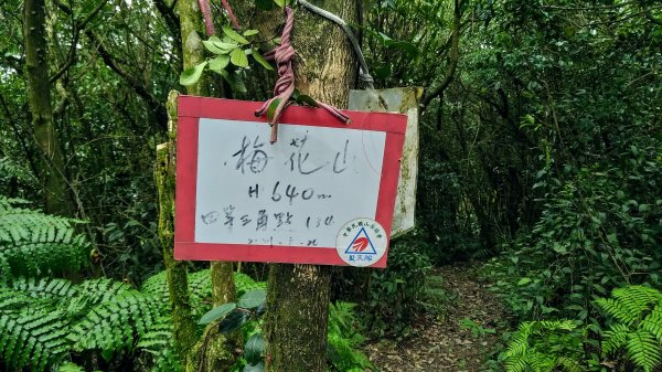 臺北大縱走第四段1566222