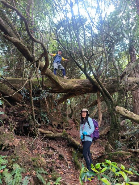 1130511夫拉縱走2500165