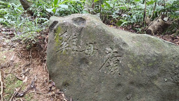楊廷理古道2814627