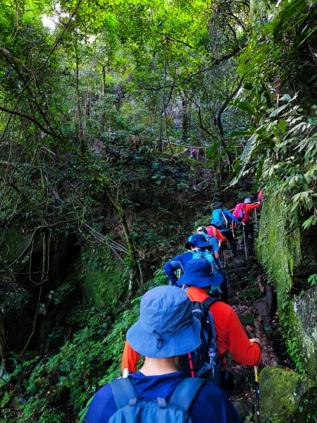 2025-06-15 銀河洞越嶺登山步道2816176