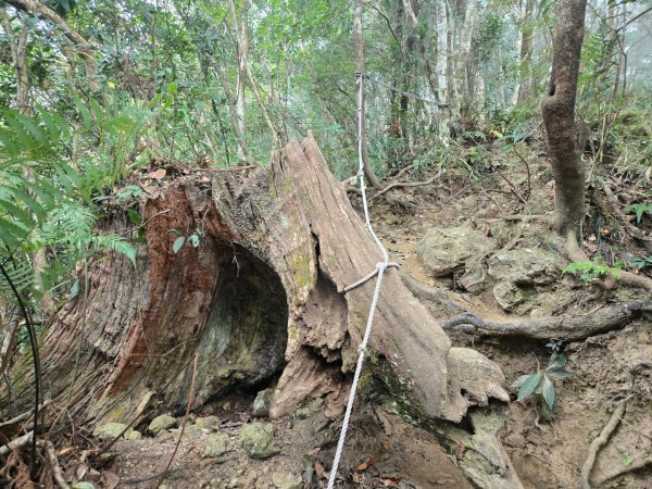 水雲三星～上島山（鳥嘴山）2931257