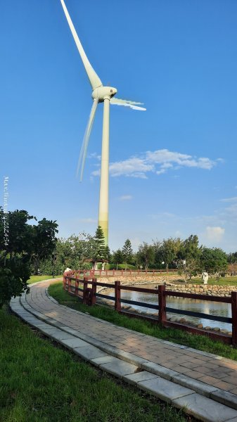 《台中》海濱夕陽｜龜殼生態公園連走大安紅樹林生態步道202410202632396