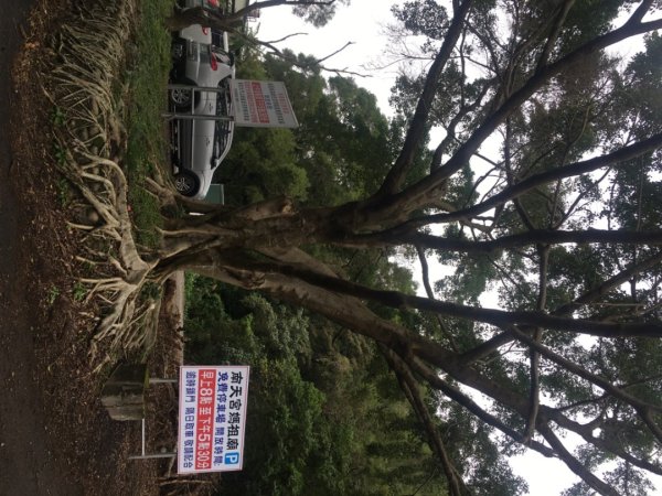 五酒桶山、南崁山2693331