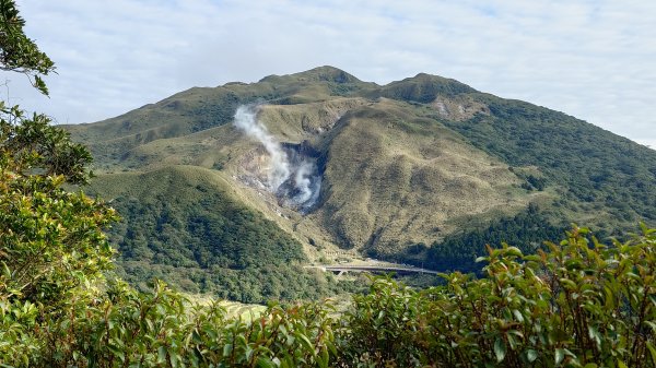 20260125 陽明山前後山健行(無極天元宮~山仔頂步道.向天池.向天山.面天山.二子坪)2998073