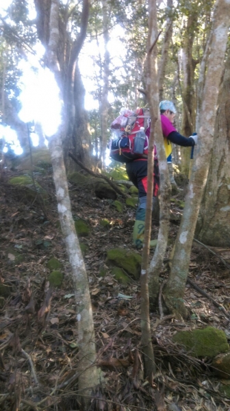 20160229新竹關西蓮苞山,外鳥嘴山31330