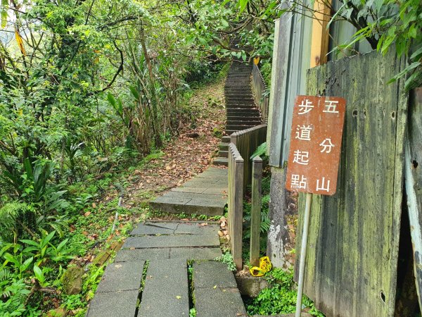 小觀音山木棧道，水源町公園，寶藏巖藝術村，五分山，頂子寮山，望古瀑布，石碇外按古道，烏塗溪古道1648133