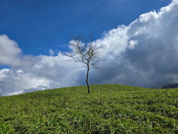 萬人山、六十石山（小百岳）2999873