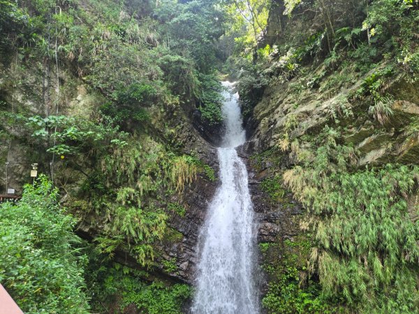 埔里觀音瀑布、天旨宮鰲頭山步道3093785