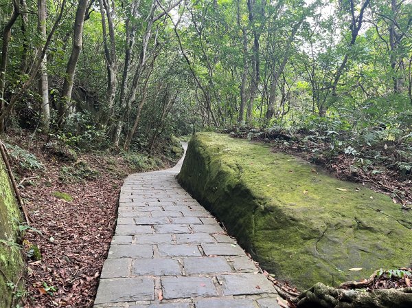 [阿龍尋寶任務]2023_0702_鯉魚山親山步道2273810