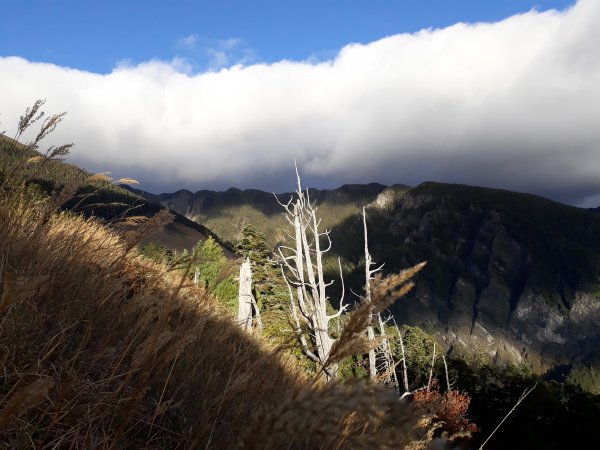 雪山北峰1086044