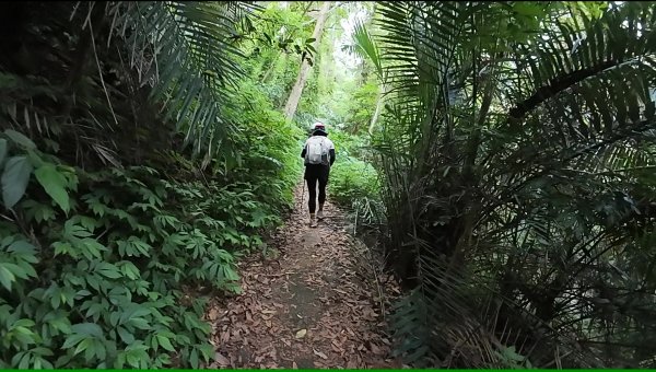 白毛山(谷關七雄No:6)3069011