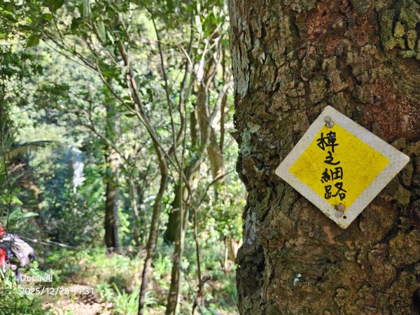 20251229石龜坑山上白石山下白石埤O走+阿姆坪2976685