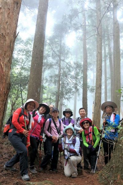 李崠山連走大混山很棒的林道341196