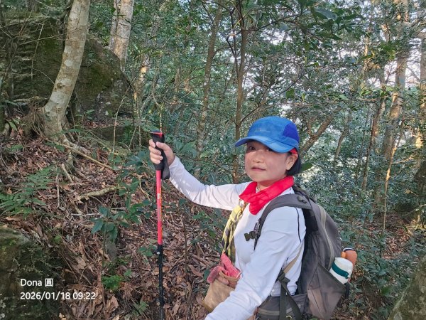 南插天山.魯培山.上宇內山(南插北峰)2989759