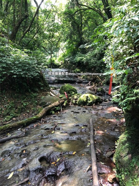 三貂嶺越嶺猴硐步道1035722