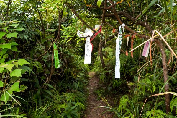 大武崙山｜小百岳2835057