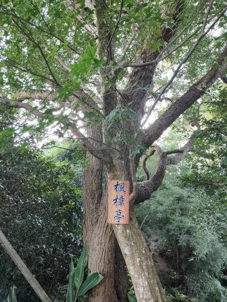 微笑山線：【鳶山山系】鳶山彩壁段2855448