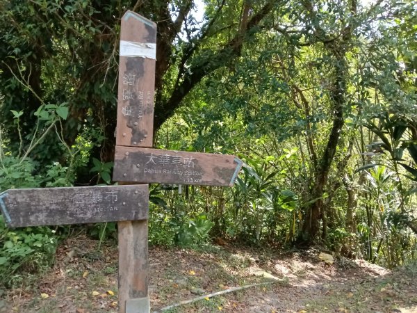 平溪區大華步道+幼坑古道+幼坑崙(大華車站-三貂嶺車站)2925167