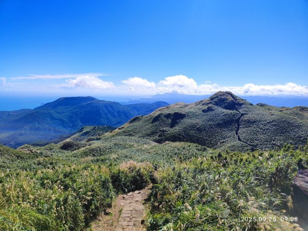七星山二進2894956