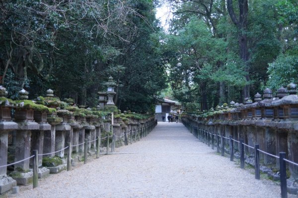 【海外健行】生駒宝山寺-奈良1942304