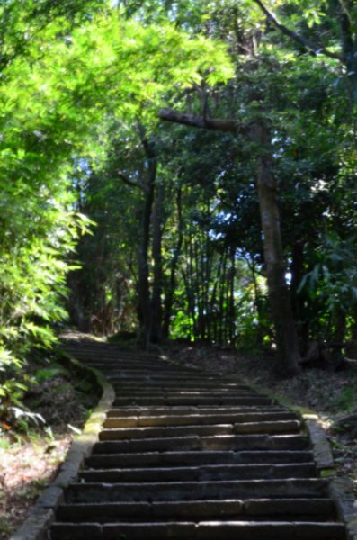 南縱走（象山、拇指山、南港山）446832