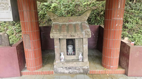 20260323后番仔坑山-內平林山-新路尾山-頂坑山-三貂嶺中心點3023708