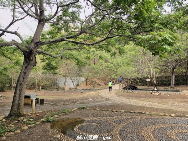 【台中龍井/大肚】竹坑南寮登山步道x瑞井登山步道O繞3031254